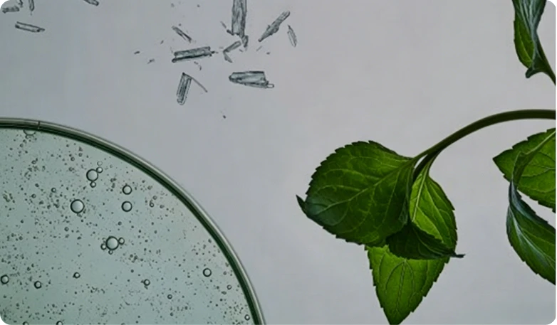RECOVERABLE AND RECYCLABLE