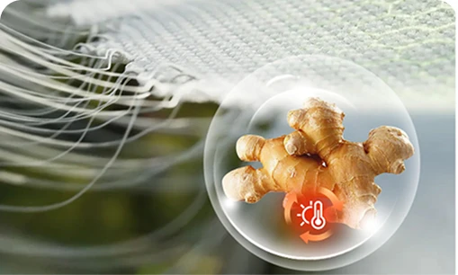 Gingerol Warming