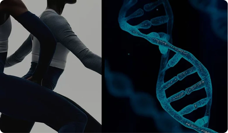 STABLE MOLECULAR CHAIN