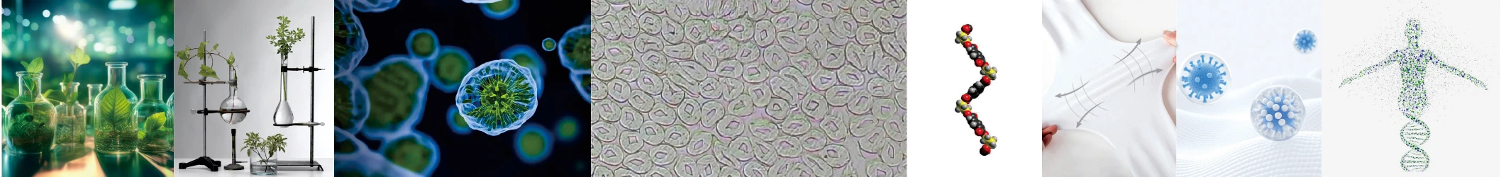 TEXSOFT&reg; Bio-Based Plus Solutions